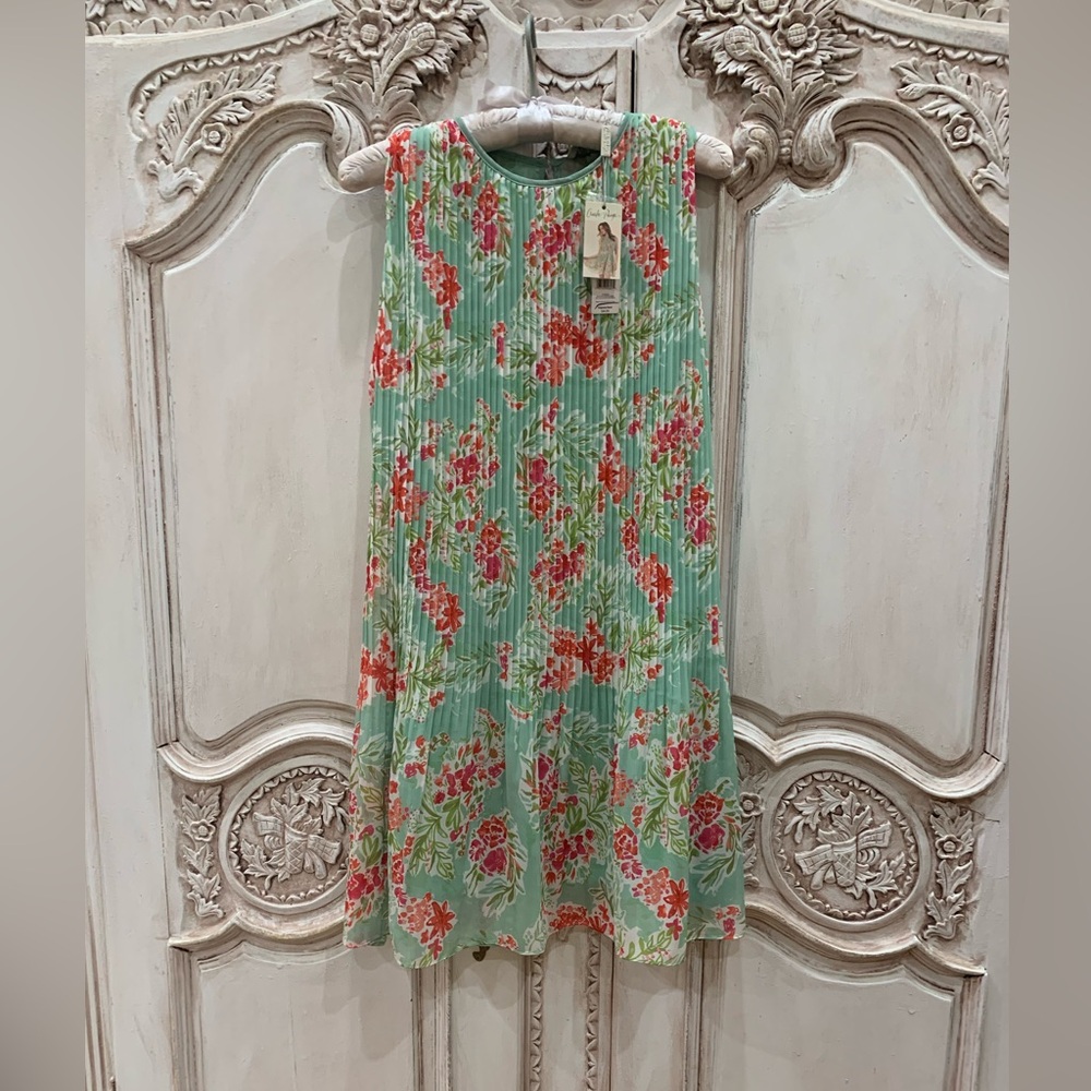 Charlie Page dress